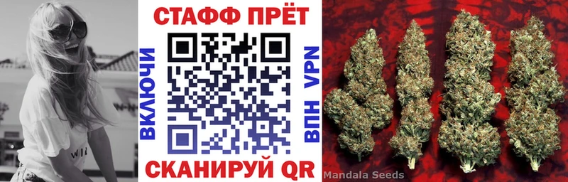 Наркота Западная Двина Псилоцибиновые грибы Мефедрон Гашиш Каннабис Cocaine