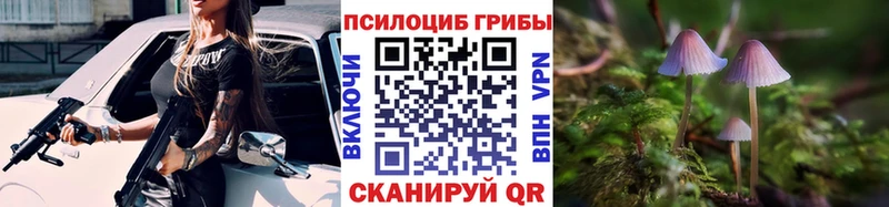 ссылка на мегу вход  дарнет шоп  Западная Двина  Псилоцибиновые грибы Psilocybine cubensis 